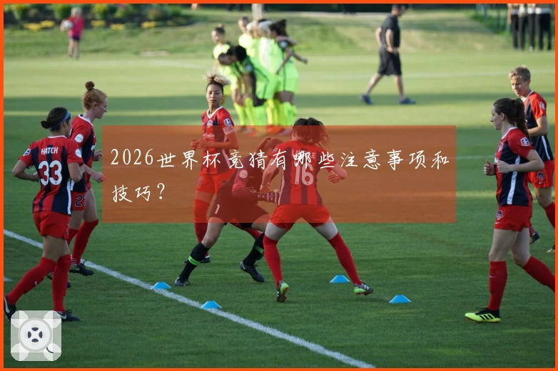 2026世界杯竞猜有哪些注意事项和技巧？