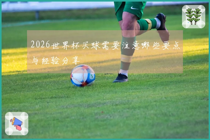 2026世界杯买球需要注意哪些要点与经验分享