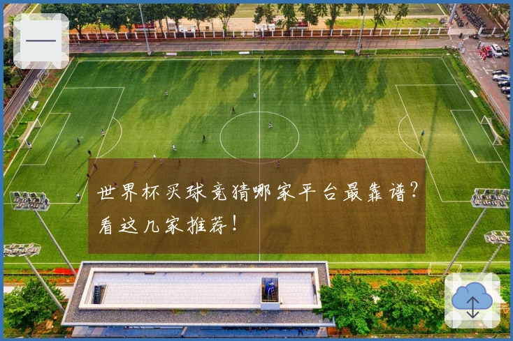 世界杯买球竞猜哪家平台最靠谱？看这几家推荐！