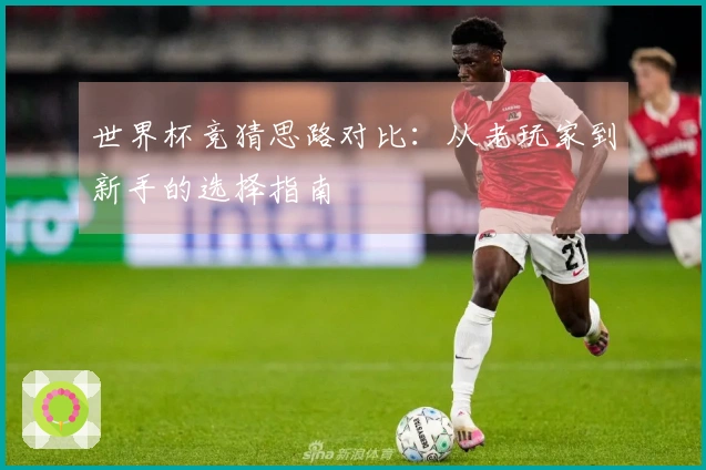 世界杯竞猜思路对比：从老玩家到新手的选择指南