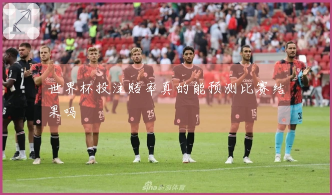 世界杯投注赔率真的能预测比赛结果吗