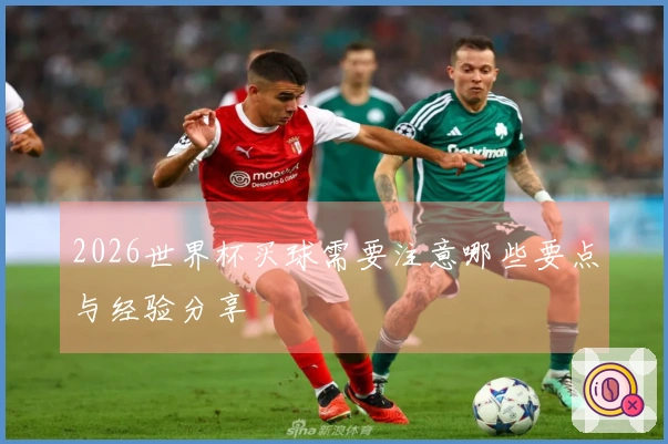 2026世界杯买球需要注意哪些要点与经验分享