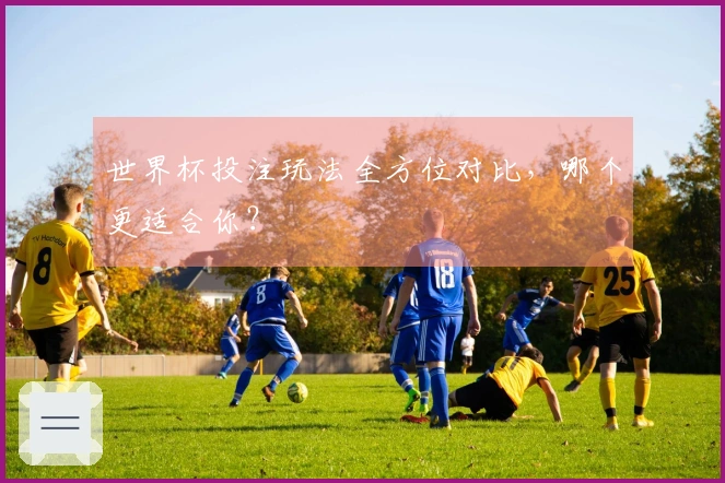 世界杯投注玩法全方位对比，哪个更适合你？