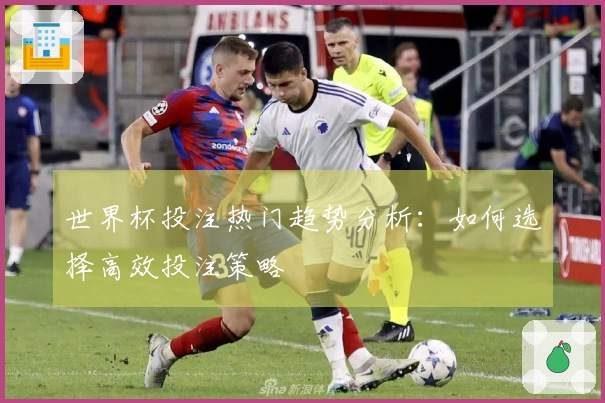 世界杯投注热门趋势分析：如何选择高效投注策略