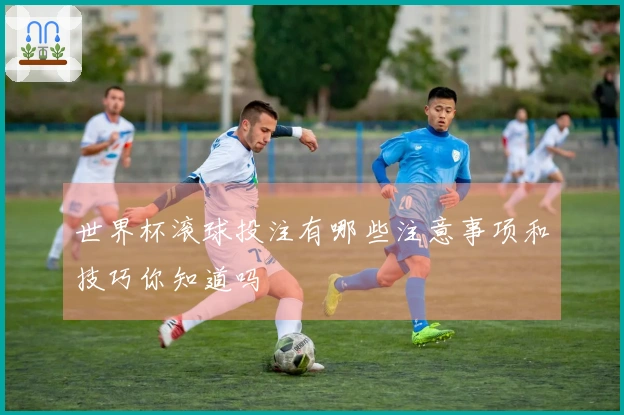 世界杯滚球投注有哪些注意事项和技巧你知道吗