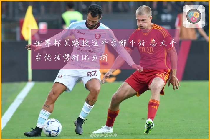 世界杯买球投注平台哪个好 各大平台优劣势对比分析