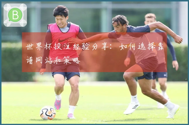 世界杯投注经验分享：如何选择靠谱网站和策略