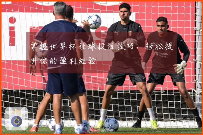 掌握世界杯让球投注技巧，轻松提升你的盈利经验