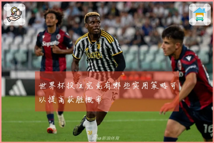 世界杯投注究竟有哪些实用策略可以提高获胜概率
