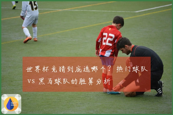 世界杯竞猜到底选哪个？热门球队 vs 黑马球队的胜算分析