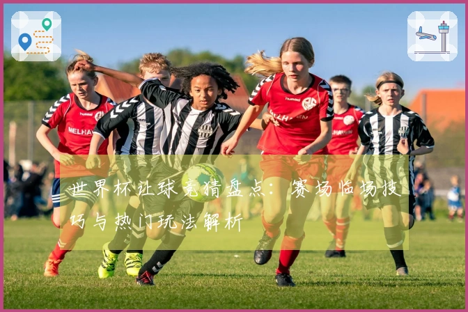 世界杯让球竞猜盘点：赛场临场技巧与热门玩法解析