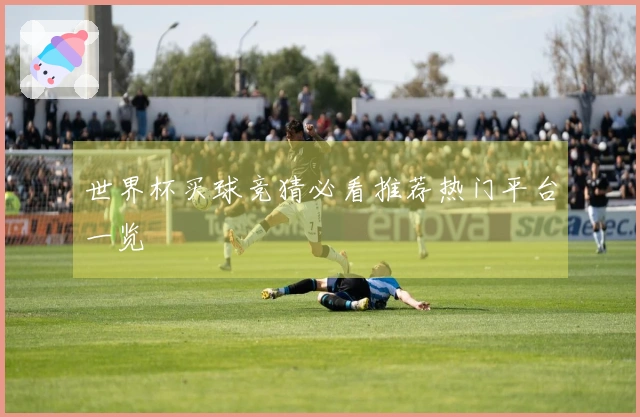 世界杯买球竞猜必看推荐热门平台一览